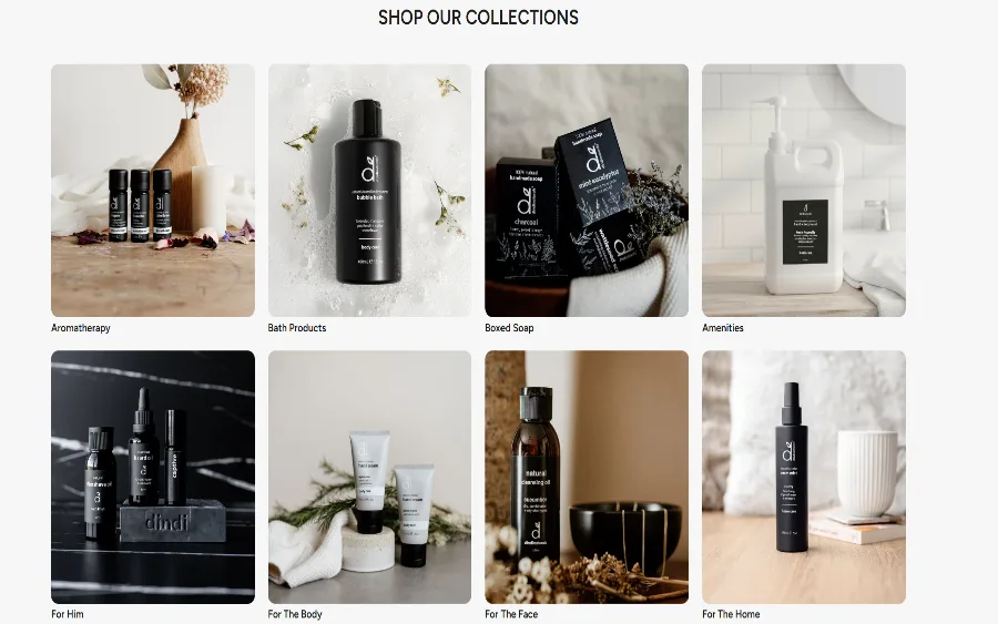 The Dindi Naturals collections page
