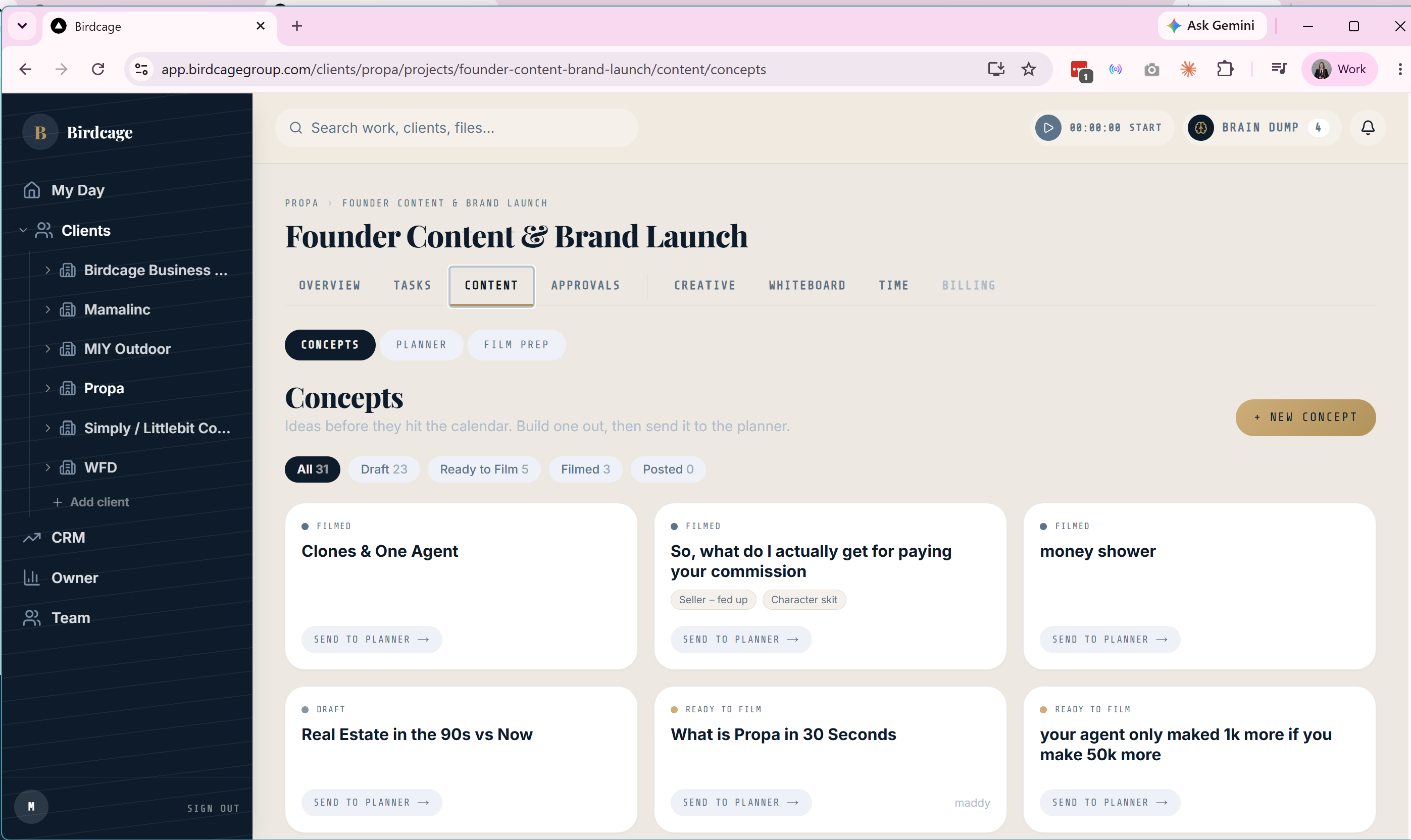 Content concepts for a live client project